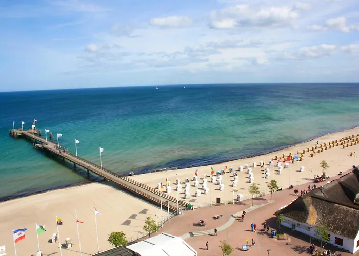 Strandgut * Dahme (Schleswig-Holstein)